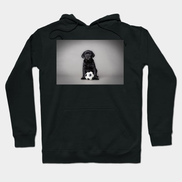 Labrador retriever puppy with ball Hoodie by PetsArt